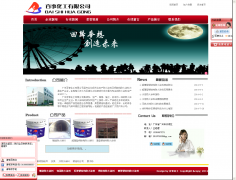 廣州百事化工網站建設案例